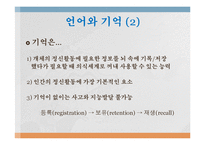 [언어심리학] 뇌와 언어-10