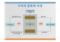 [언어심리학] 뇌와 언어-11