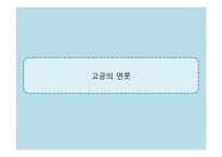 안드레 에카르트의 미-12