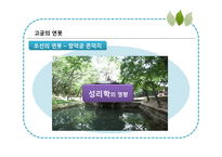 안드레 에카르트의 미-13