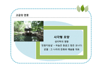 안드레 에카르트의 미-14