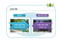 안드레 에카르트의 미-15