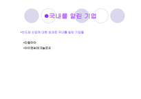 (A+자료) 국내 반도체 시장의 역사와 특징 및 세계시장에서의 성공요인 조사분석-5