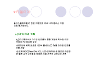 (A+자료) 국내 반도체 시장의 역사와 특징 및 세계시장에서의 성공요인 조사분석-6