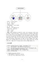 (A+자료) CGV의 마케팅,성공사례, 마케팅전략, 성공전략, 경영전략분석, 기업소개 및 특징과 성공적인 경영전략 및 마케팅 전략, 4P, SWOT, STP 전략 조사분석-5