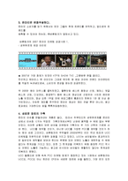 (A+자료) 바이럴 마케팅에 대한 정의 및 특징과 성공적인 마케팅 사례 총체적 조사분석-6