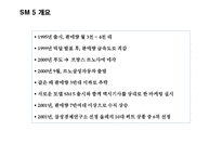 (A+자료) 입소문 마케팅의 마케팅,성공사례, 마케팅전략, 성공전략, 경영전략분석, 정의 및 특징과 성공적인 마케팅 사례들 총체적 조사분석-10