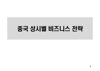 중국시장 비즈니스 전략수립을 위한 시장현황 분석-3