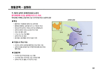 중국시장 비즈니스 전략수립을 위한 시장현황 분석-10