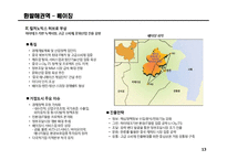 중국시장 비즈니스 전략수립을 위한 시장현황 분석-13