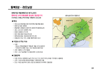 중국시장 비즈니스 전략수립을 위한 시장현황 분석-19