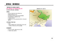 중국시장 비즈니스 전략수립을 위한 시장현황 분석-20