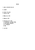글라소 비타민워터 마케팅전략분석-12