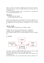 빅토리아시크릿 마케팅 SWOT,4P전략분석및 새로운 마케팅전략 제안-12