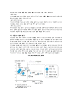 [국제경영] 이집트 IT시장환경 및 전망-6