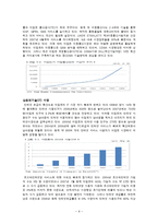 [국제경영] 이집트 IT시장환경 및 전망-15