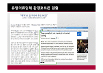 [국제경제] 세계 소비자 안전 피해 사례와 안전 관리 제도-13