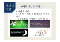 [경영학] 사회적 기업 성공사례와 문제점 및 개선방향-6