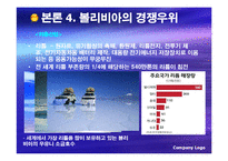 [국제경영] 볼리비아 기업 투자 환경 조사-15