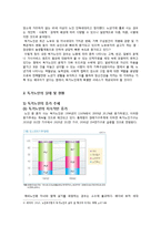 [노인복지] 독거노인의 생활환경 개선을 위한 해결방안 및 대책-4