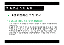 [정책론] 한류의 성공 요인과 향후 과제-17