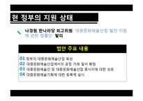 [정책론] 한류의 성공 요인과 향후 과제-18