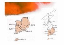 [주거학] 남부지방, 제주도, 울릉도 지역별 민가-3