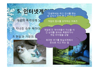 [사회학] 성인 게임중독과 사회복지-18