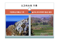 [국제문화] 그리스의 음식문화-7