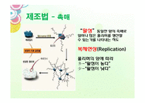 PP(폴리프로필렌)의 특징과 차후 동향-8