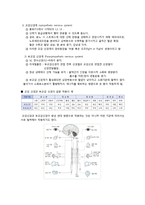 [생명학] 뇌, 신경계 및 관련 질병-10