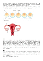 임신과 출산 및 관련 질병-2