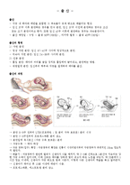 임신과 출산 및 관련 질병-8