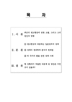 [경제학] 엔고현상과 일본정부의 정책 사례 및 대응책-2