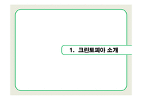 [경영학] 크린토피아 서비스 분석 및 대안제시-3
