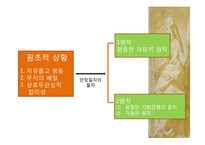 [윤리학] 존 롤스 사상-6