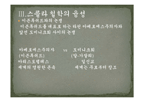 [서양철학] 스콜라철학-17