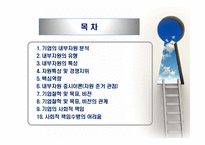 내부자원 중시이론(자원 준거 관점)-2