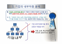 내부자원 중시이론(자원 준거 관점)-3
