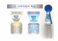 내부자원 중시이론(자원 준거 관점)-7