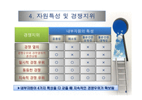 내부자원 중시이론(자원 준거 관점)-8