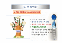 내부자원 중시이론(자원 준거 관점)-9