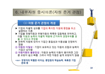 내부자원 중시이론(자원 준거 관점)-16