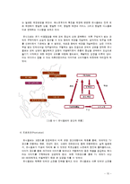 유니클로 UNIQLO 기업 SWOT분석및 마케팅사례분석과 마케팅 SWOT,STP,4P전략제안(VS 지오다노와의 비교분석)-15