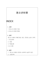 청소년비행 개념과원인분석및 문제점과 대책방안제안-1