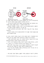 페이스북 경영 성공요인분석과 앞으로의 전망-9