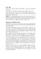 SM엔터테인먼트 마케팅사례분석및 새로운 마케팅전략제안-19