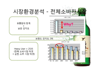처음처럼 마케팅사례분석 파워포인트-9