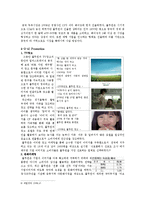 풀무원 마케팅사례분석및 새로운 마케팅전략제안보고서-13