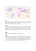 아이리버 iriver 재도약을 위한 미국진출 글로벌 마케팅전략보고서-6